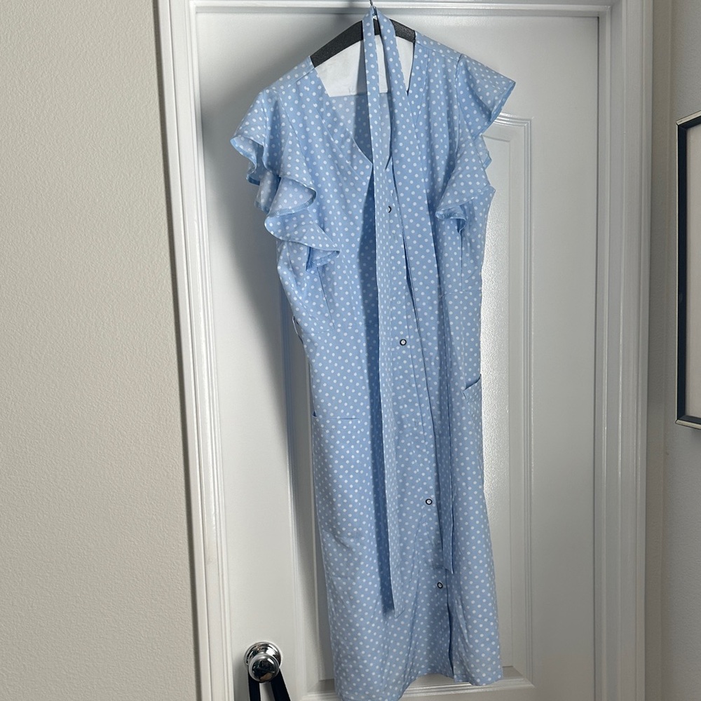 Light Blue Polka Dot Dress with Ruffle Sleeves